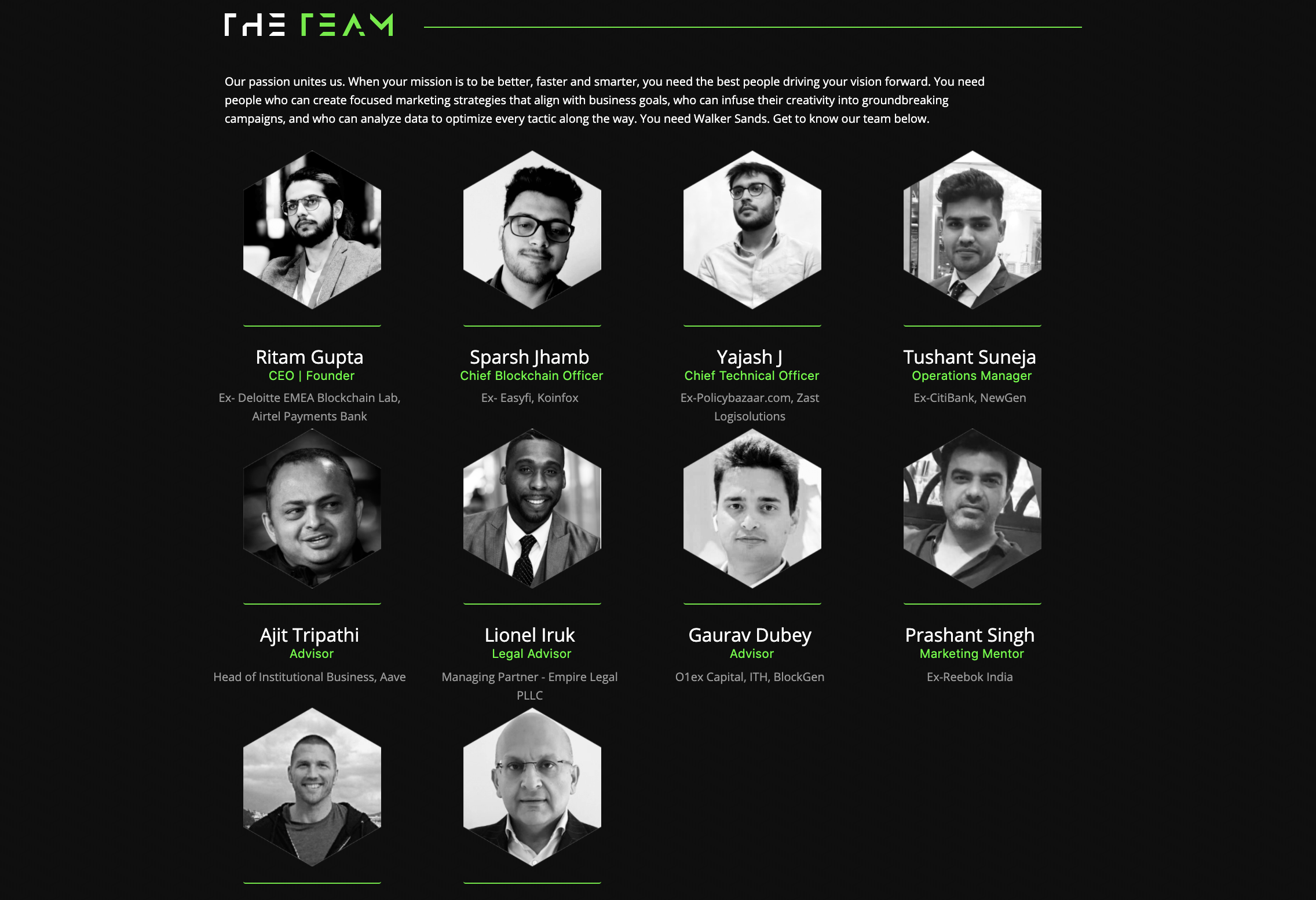 DeFi11 Team