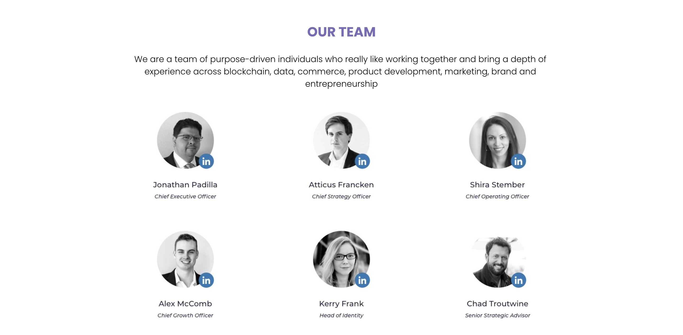 Snickerdoodle Labs Team