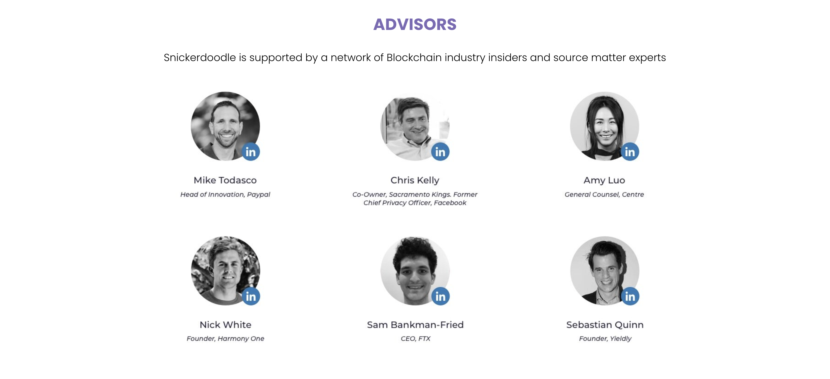 Snickerdoodle Labs Advisors
