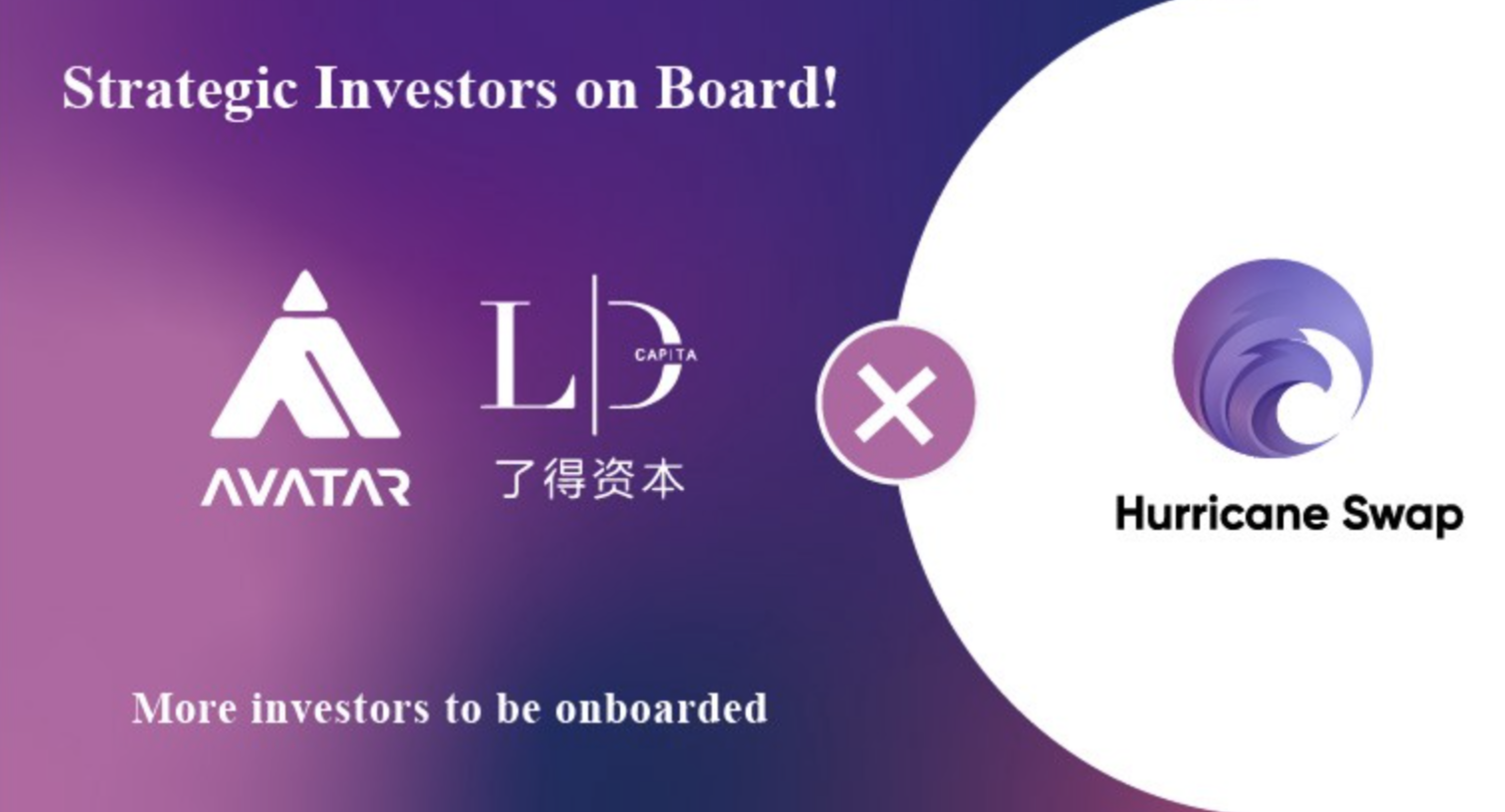 HurricaneSwap Investors