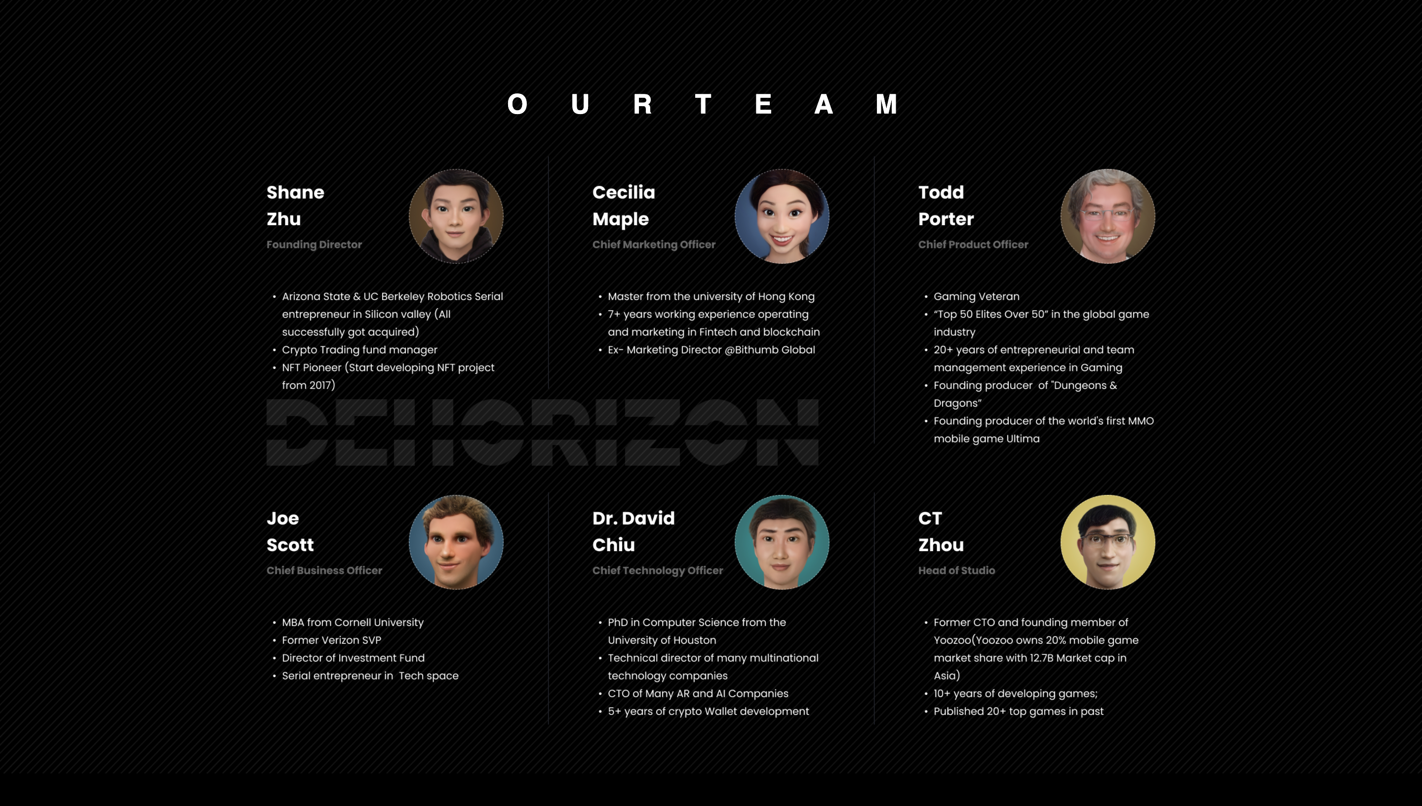 DeHorizon Team