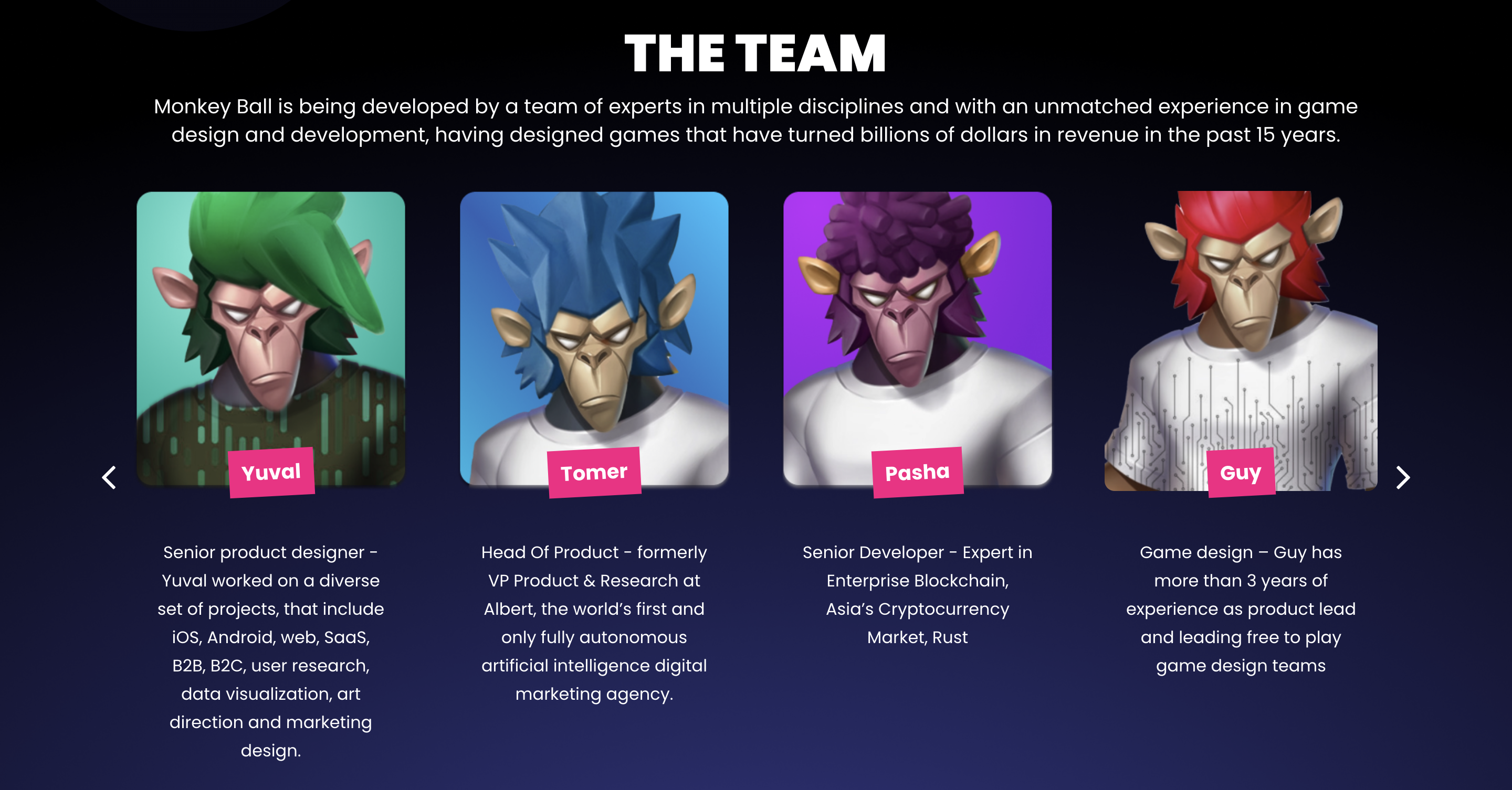 MonkeyBall Team