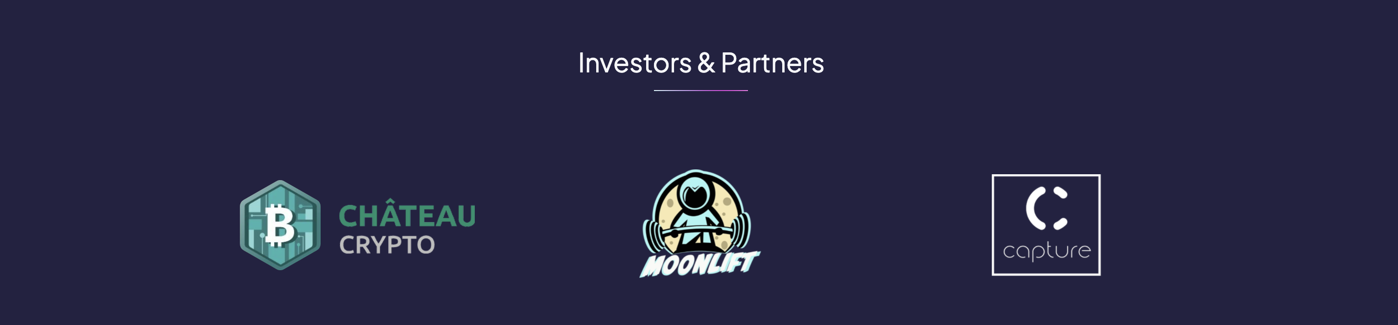 Blue Horizon Investors and Partners