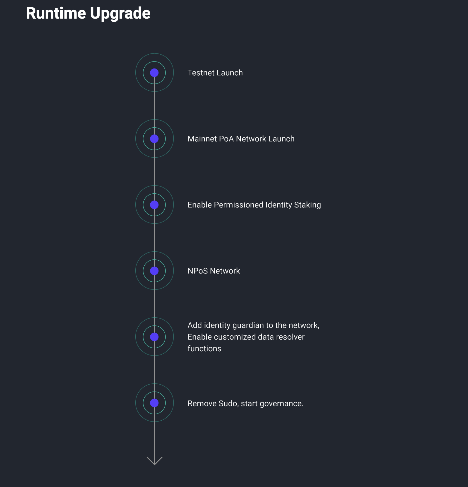 Litentry Roadmap Runtime Upgrade