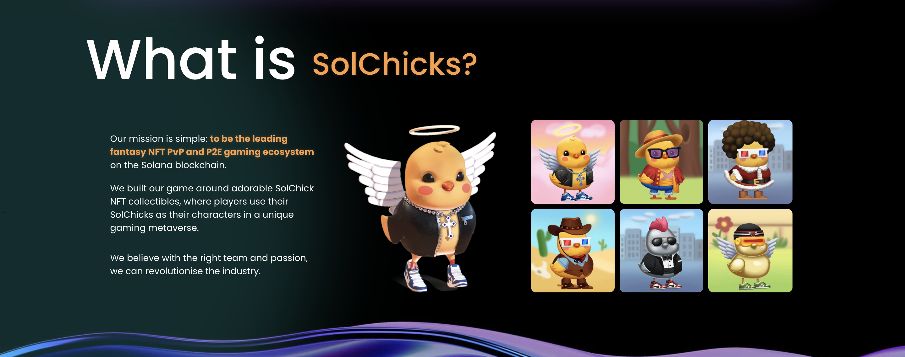 SolChicks About