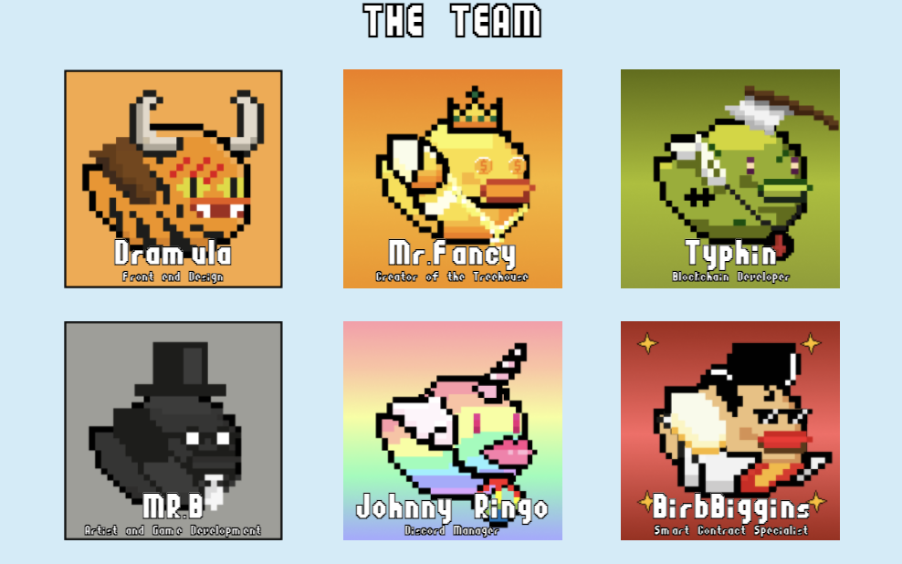 Fancy Birds Team
