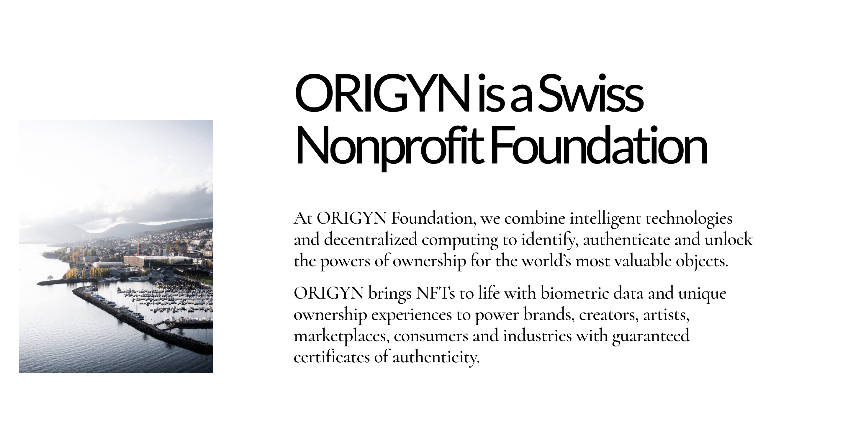 Origyn Foundation About