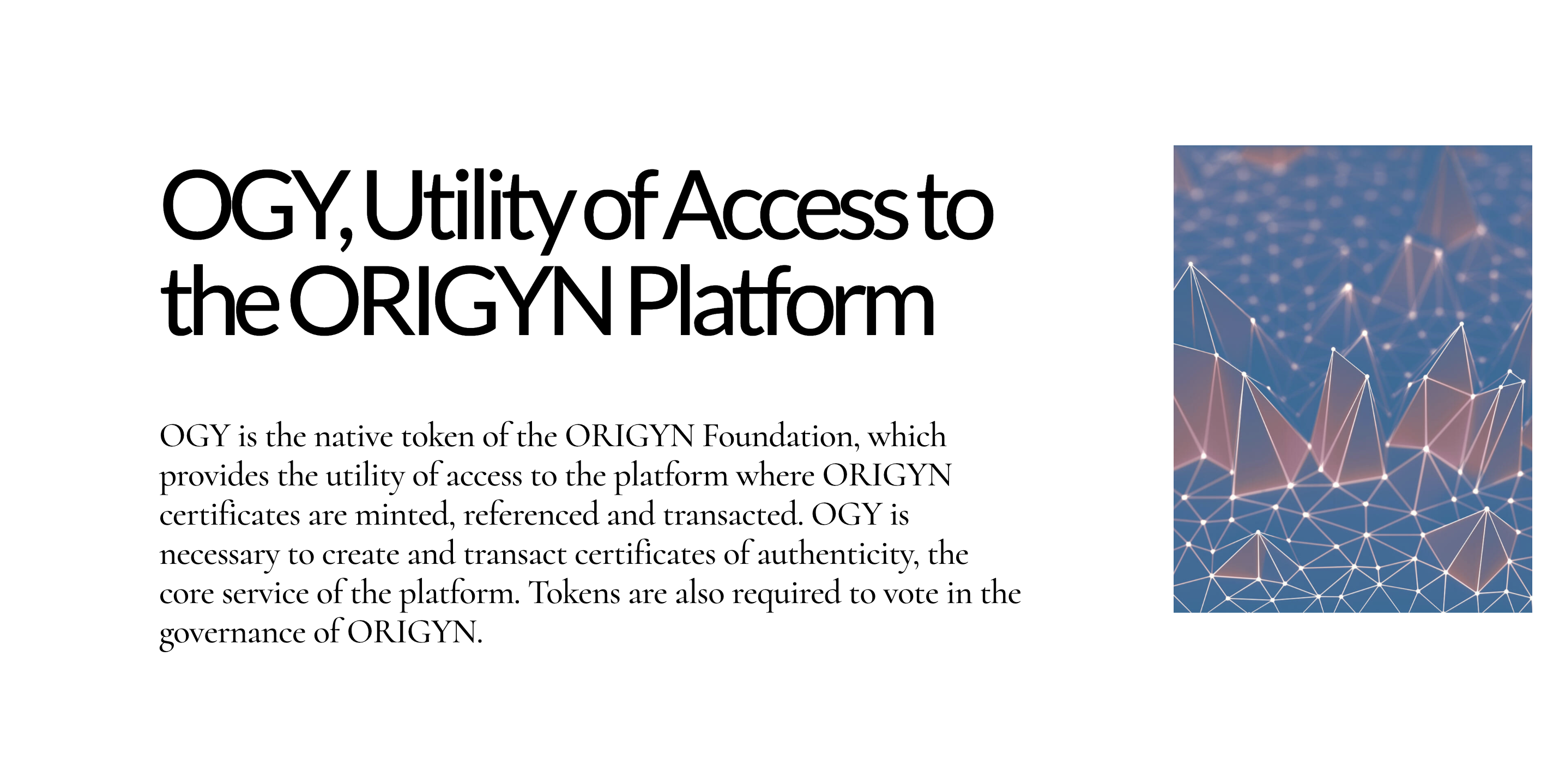 Origyn Foundation Token Info