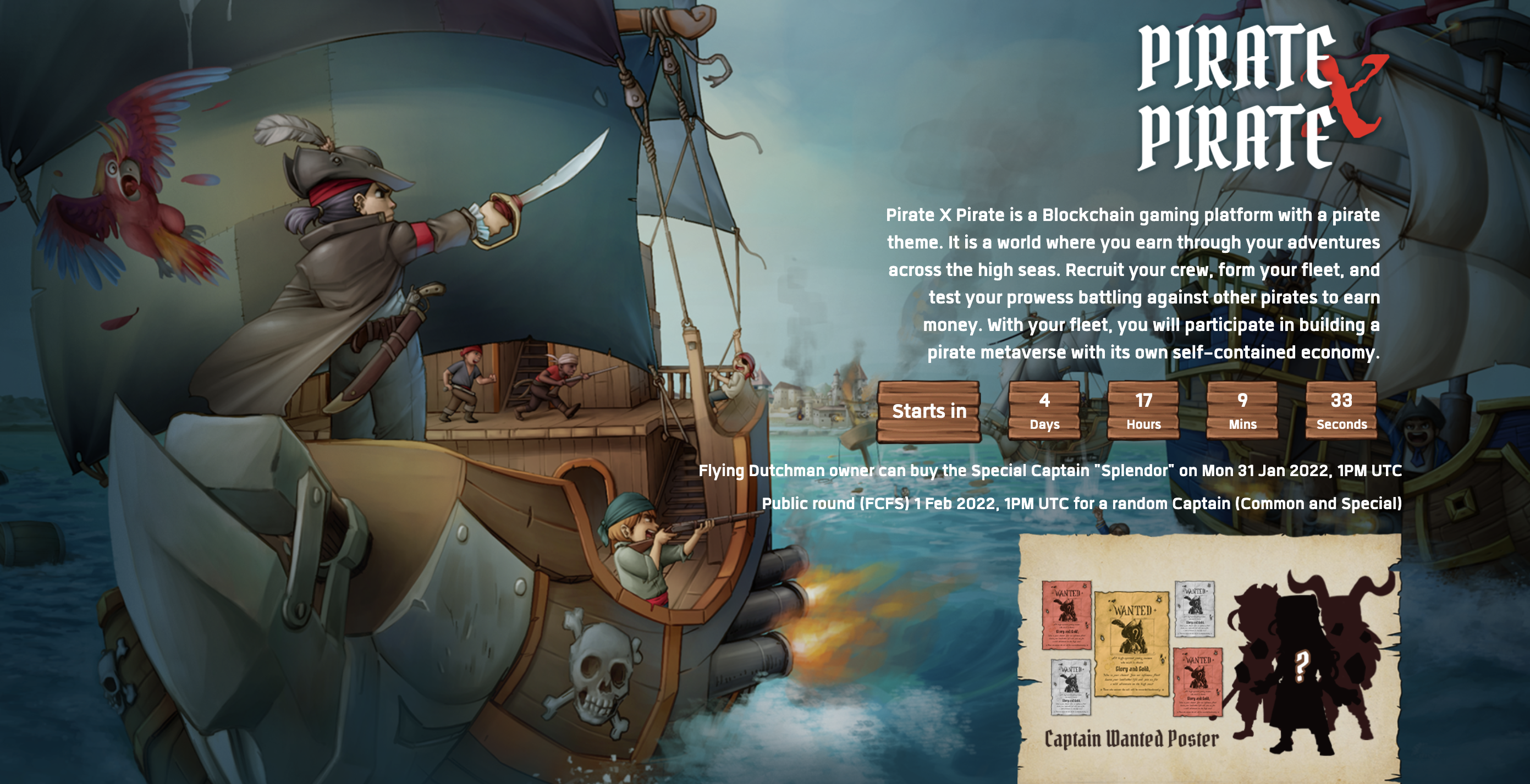 Pirate X Pirate About
