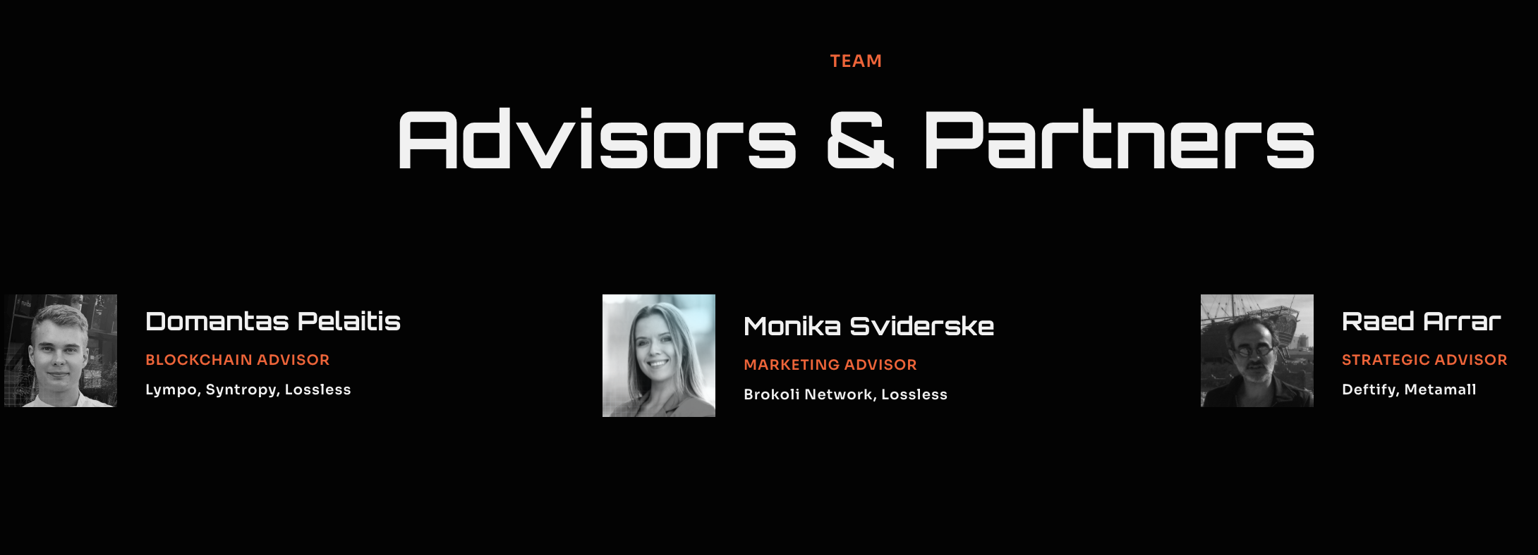 Basketballverse Advisors and Partners