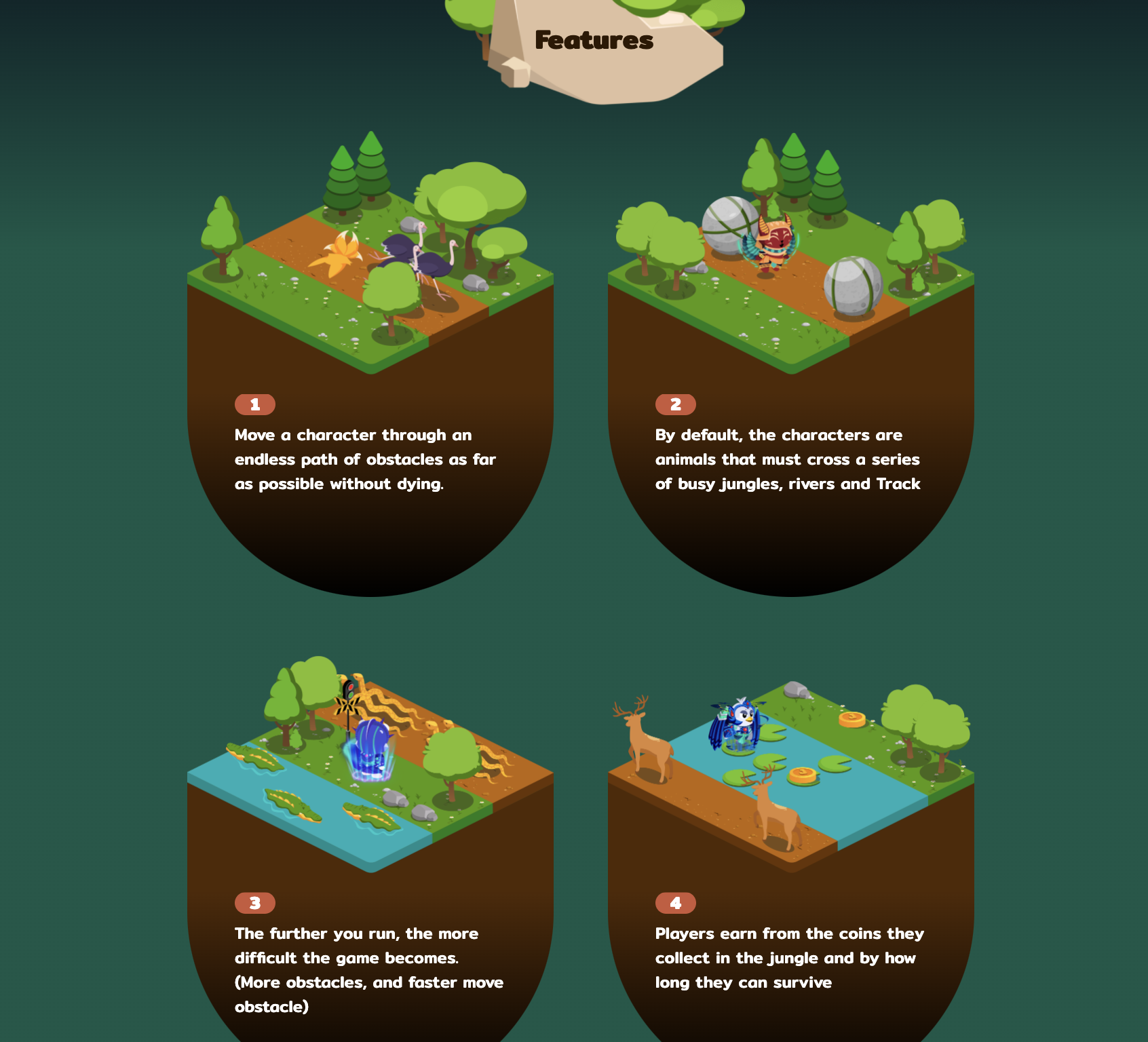 Jungle Road Features
