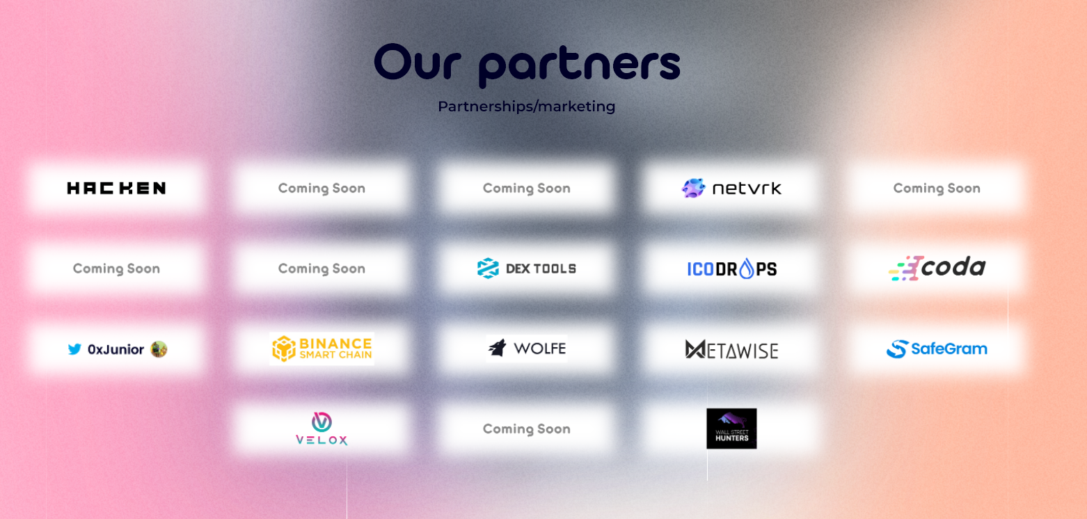 Metacloud Partners
