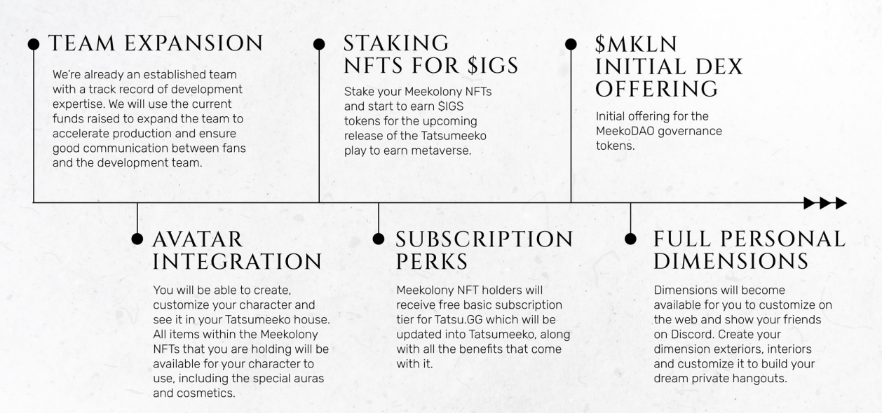 Tatsumeeko Roadmap