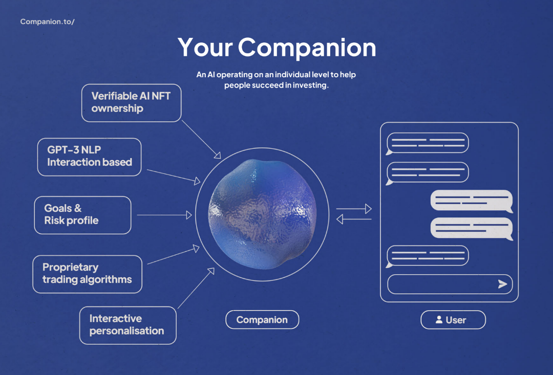 Companion Info