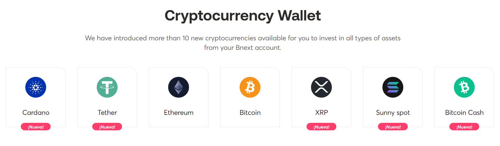 Bnext Info 2