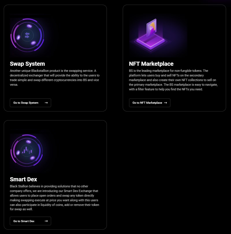 Black Stallion Products 2