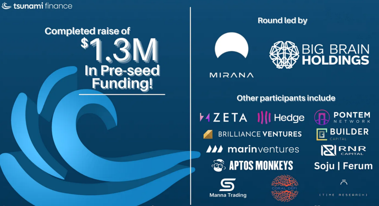 Tsunami Finance Investors