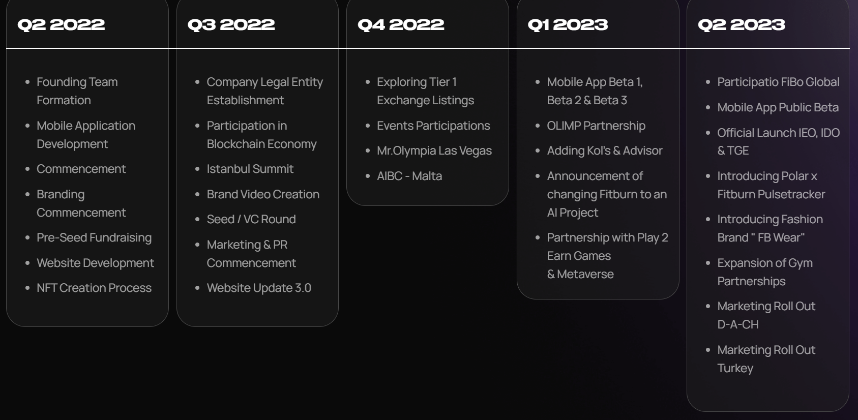 FitBurn Roadmap