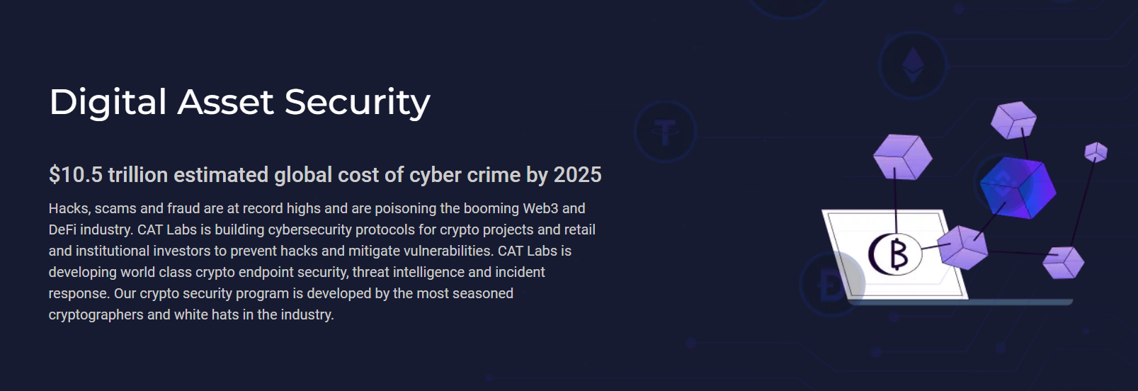 Cat Labs Info 2