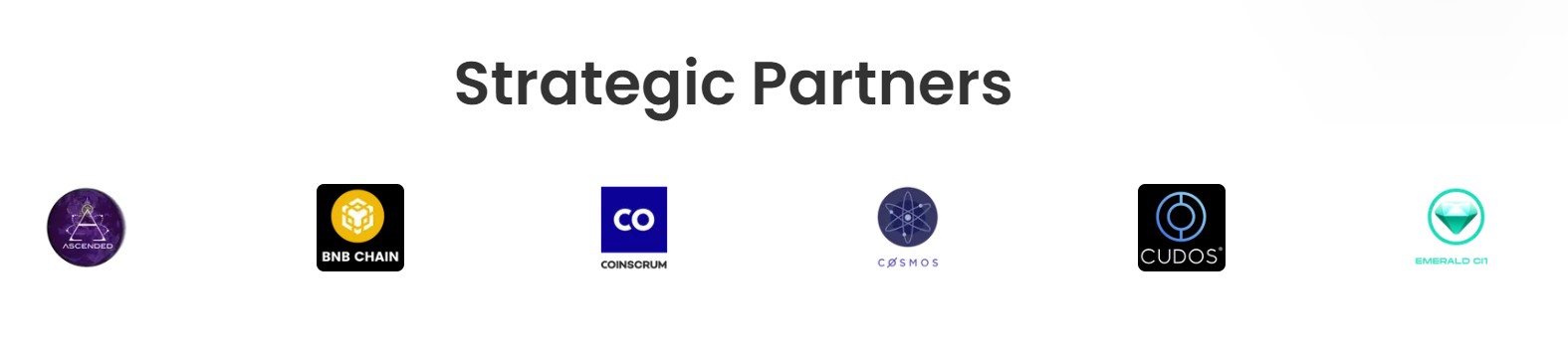 Ozone Metaverse Partners 1