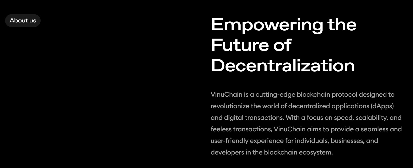 VinuChain About