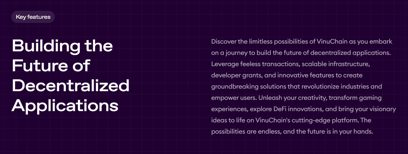 VinuChain Info