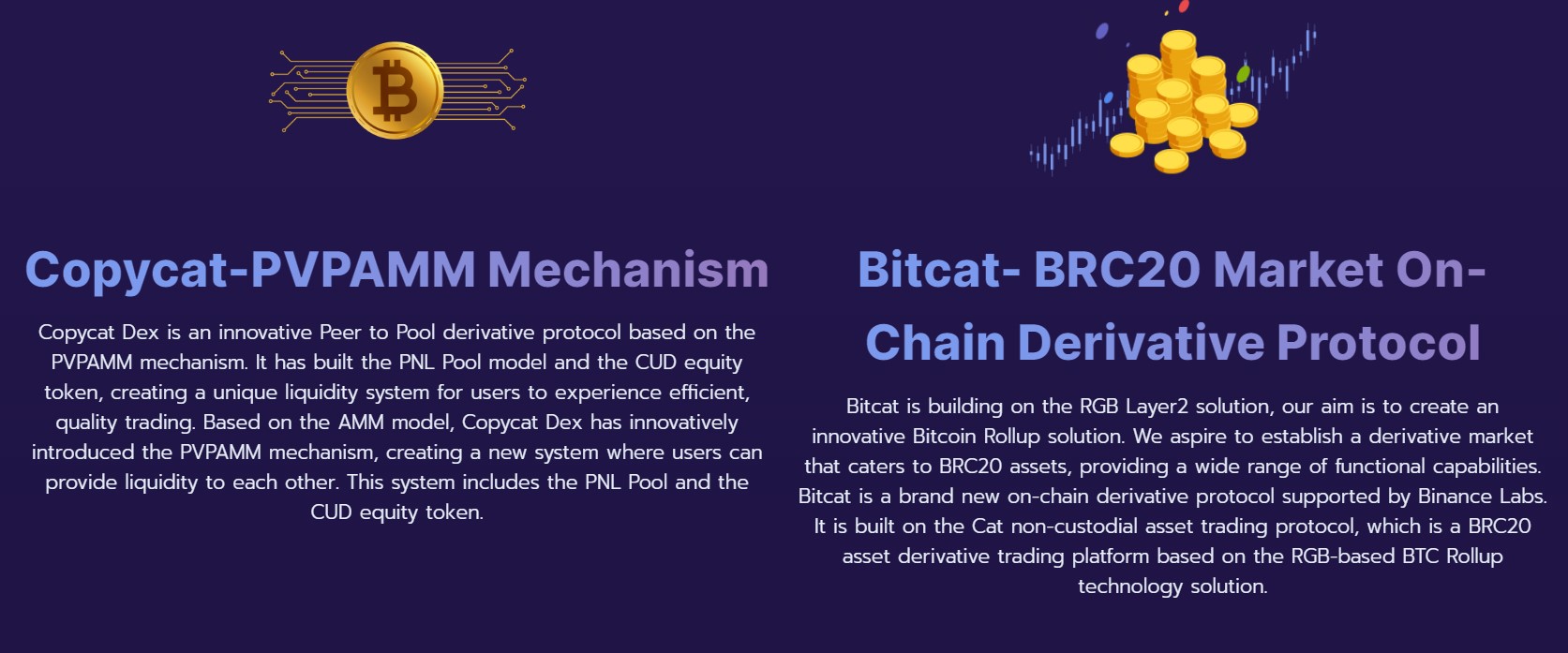 Copycat Finance Info 2