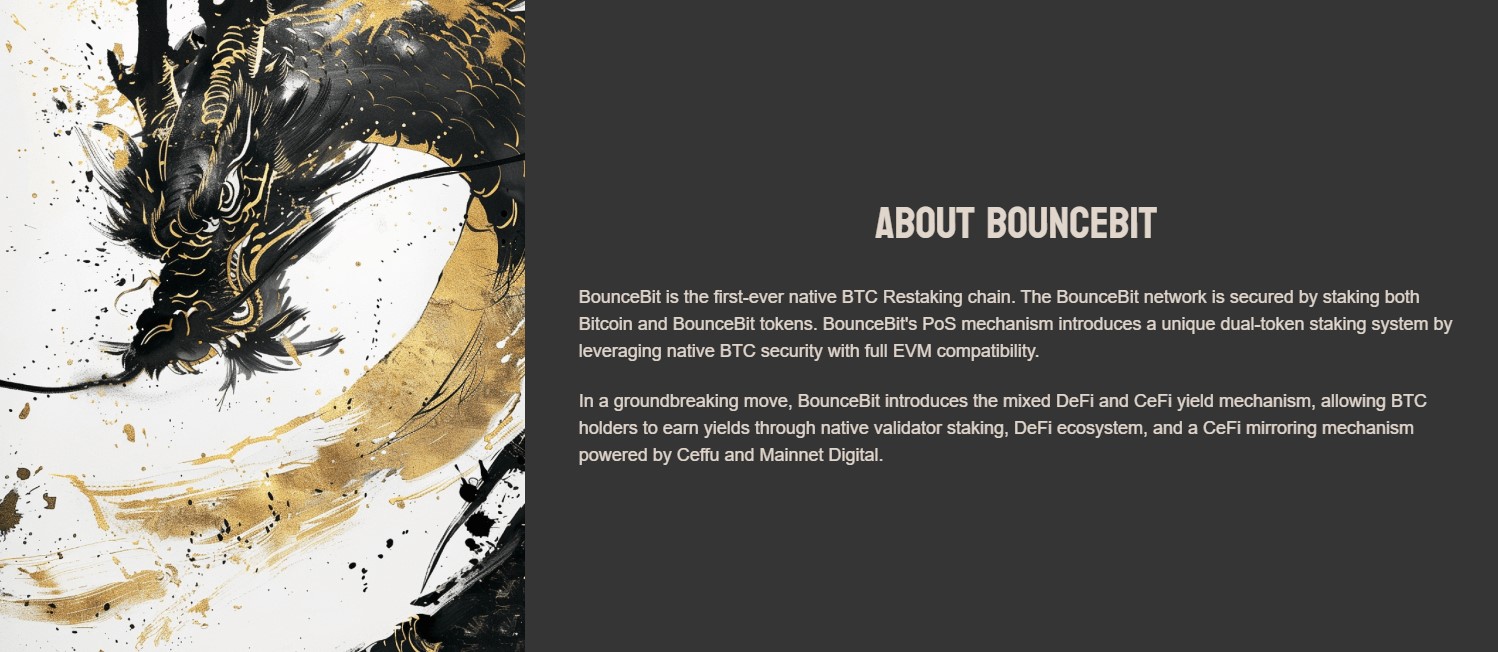 BounceBit About