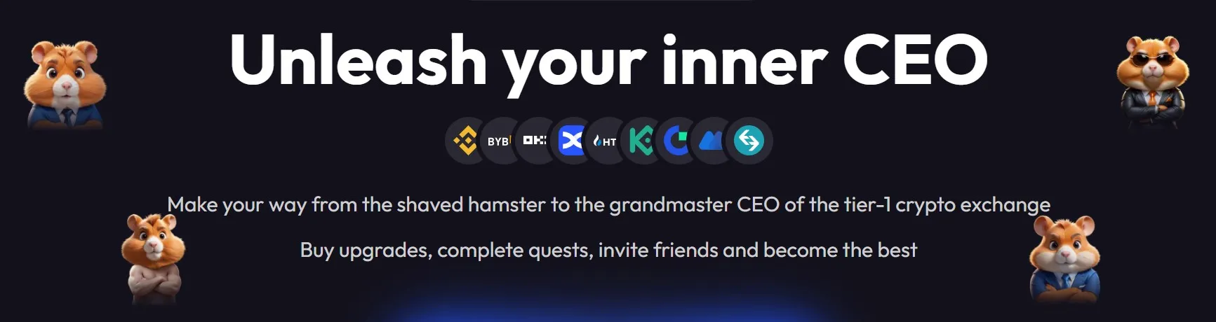 Hamster Kombat Info