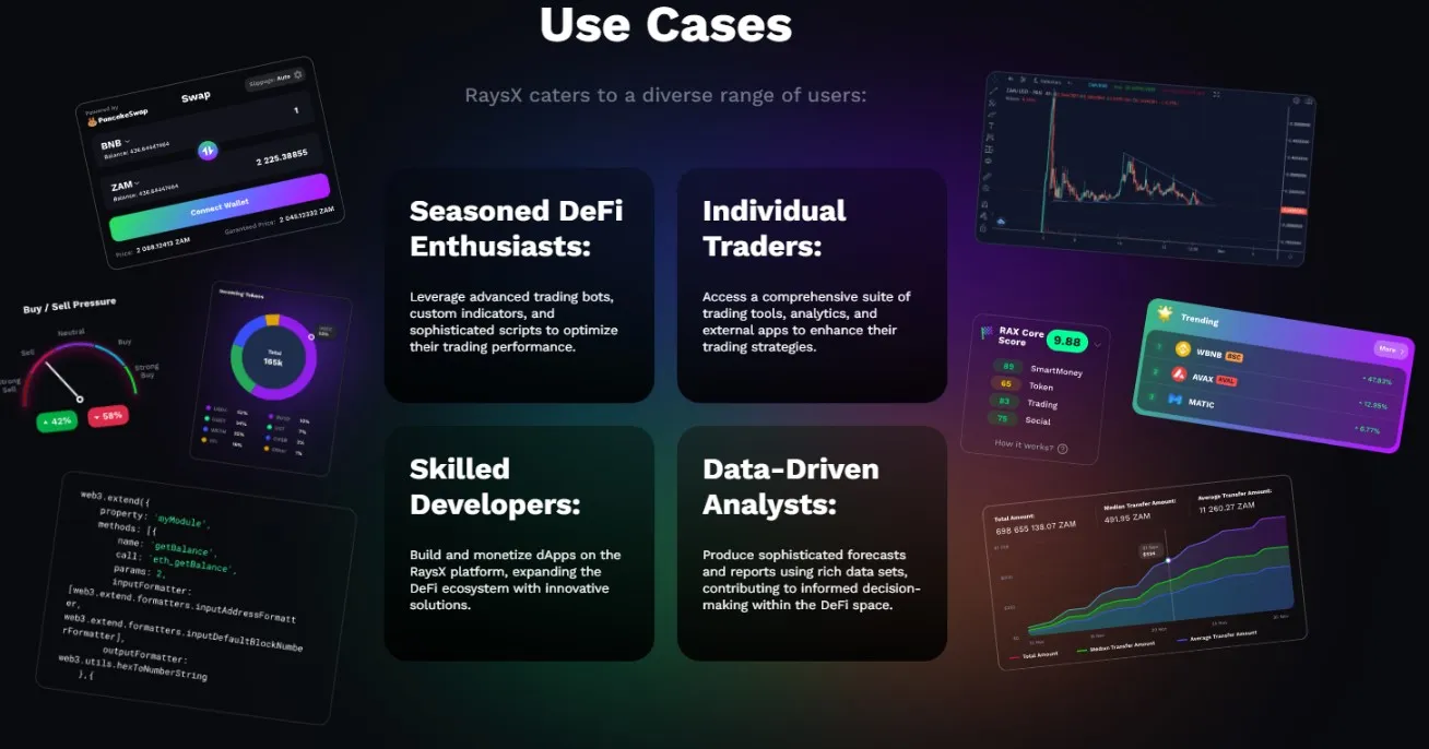 RaysX Use Cases